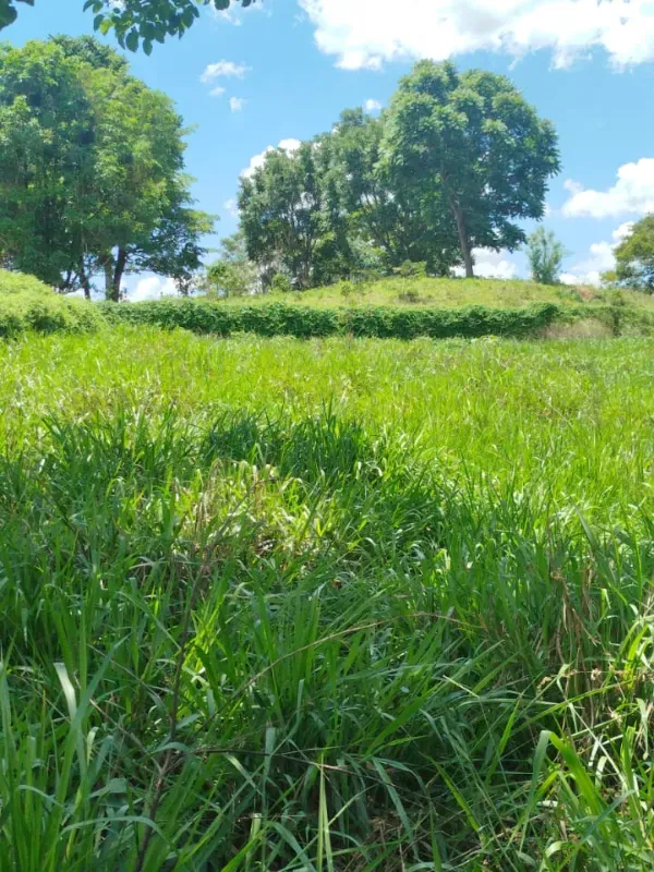 Fazenda em Pirenópolis/Goiás — Ref FQJL9X — Imagem 17