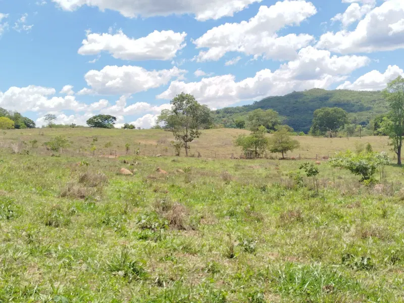 Fazenda em Pirenópolis/Goiás — Ref FQJL9X — Imagem 15
