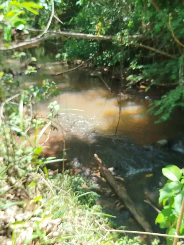 Fazenda em Pirenópolis/Goiás — Ref FQJL9X — Imagem 14