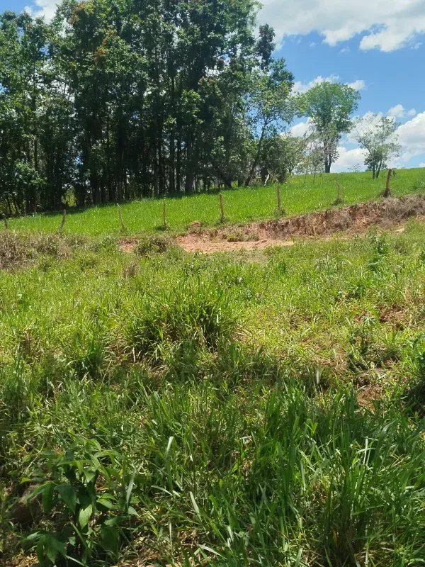 Fazenda em Pirenópolis/Goiás — Ref FQJL9X — Imagem 16