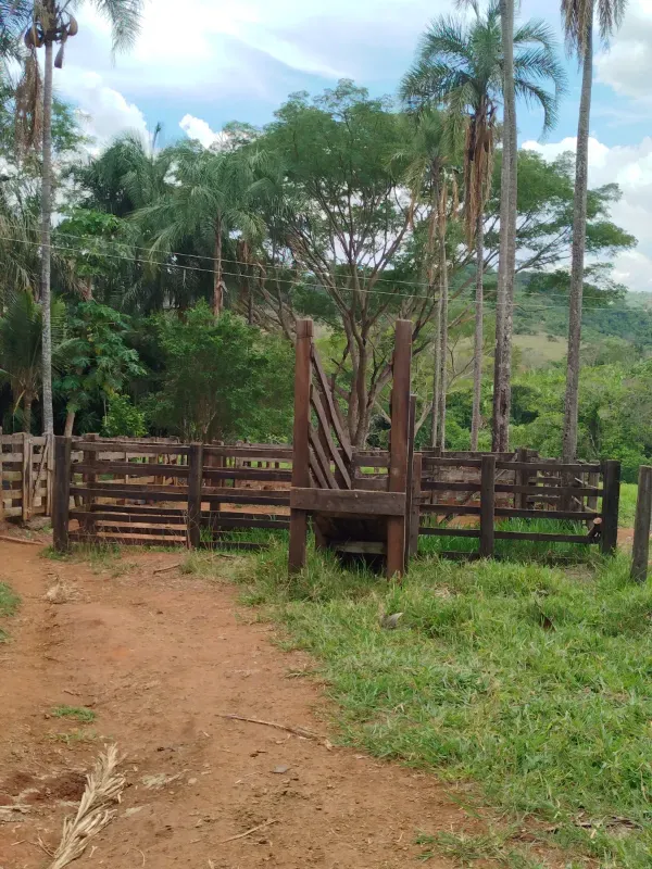 Sítio em Anápolis/Goiás — Ref 9QEA92 — Imagem 3