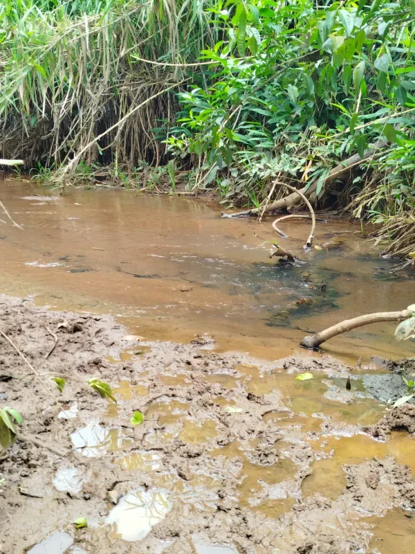 Sítio em Anápolis/Goiás — Ref 9QEA92 — Imagem 4