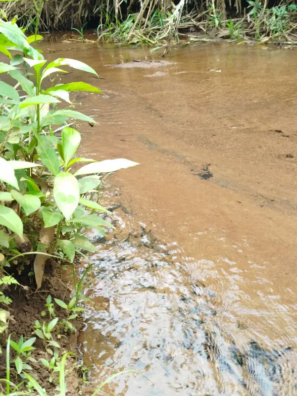 Sítio em Anápolis/Goiás — Ref 9QEA92 — Imagem 5