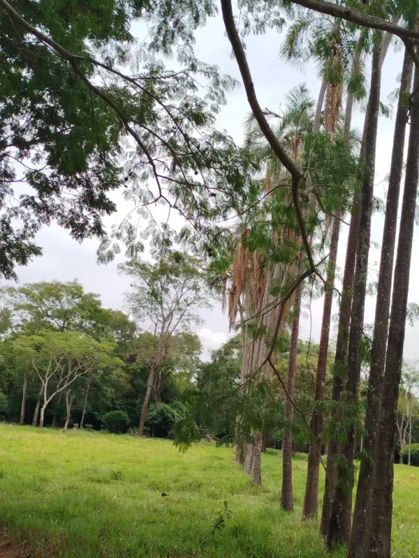 Sítio em Anápolis/Goiás — Ref 9QEA92 — Imagem 6