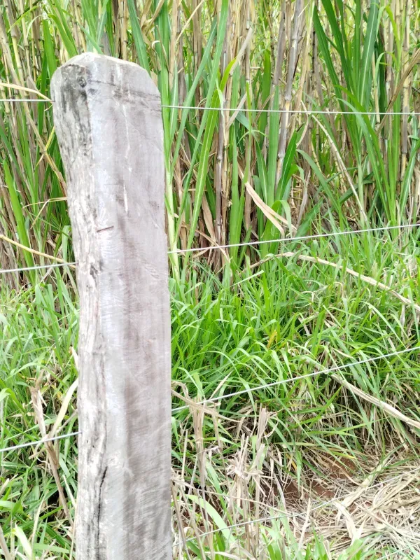 Sítio em Anápolis/Goiás — Ref 9QEA92 — Imagem 8