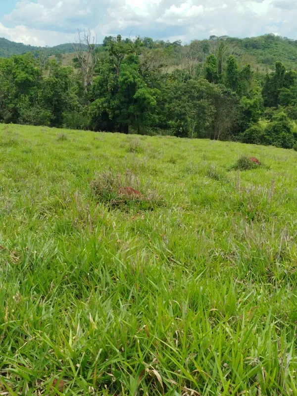 Sítio em Anápolis/Goiás — Ref 9QEA92 — Imagem 9