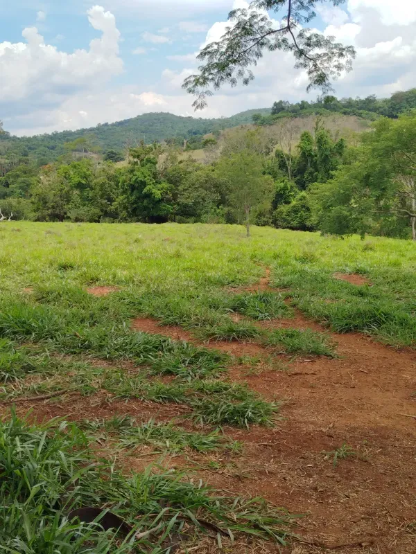 Sítio em Anápolis/Goiás — Ref 9QEA92 — Imagem 11
