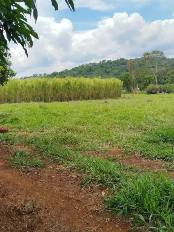 Sítio em Anápolis/Goiás — Ref 9QEA92 — Imagem 12