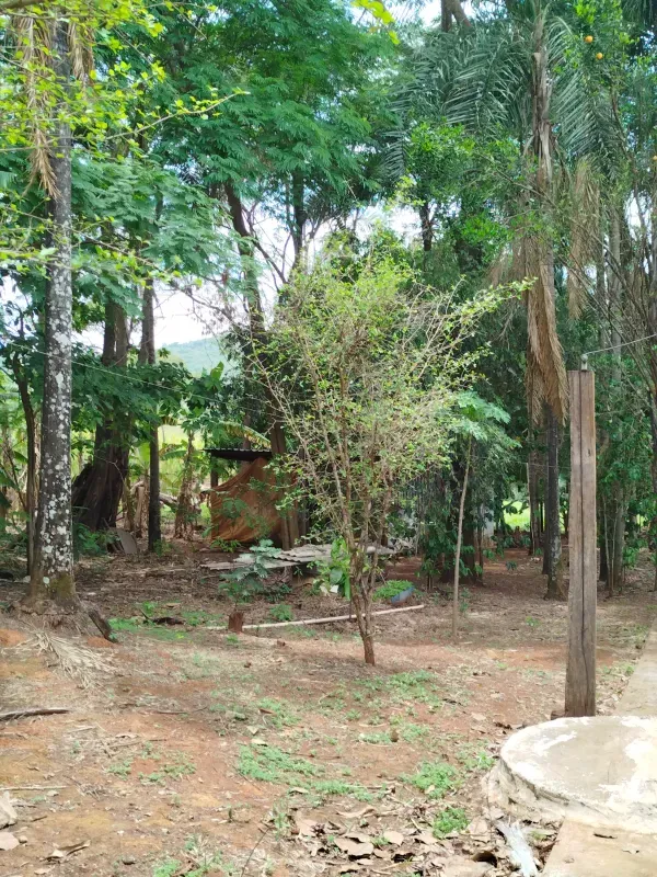 Sítio em Anápolis/Goiás — Ref 9QEA92 — Imagem 22