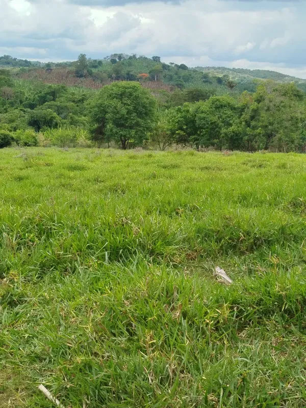 Sítio em Anápolis/Goiás — Ref 9QEA92 — Imagem 27