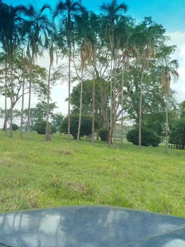 Sítio em Anápolis/Goiás — Ref 9QEA92 — Imagem 29