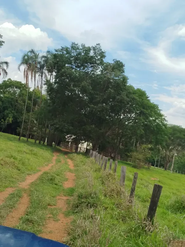 Sítio em Anápolis/Goiás — Ref 9QEA92 — Imagem 30