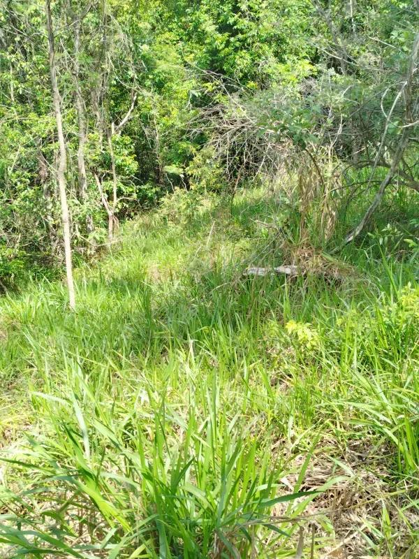 Chácara em Abadiânia/Goiás — Ref II6CM9 — Imagem 8