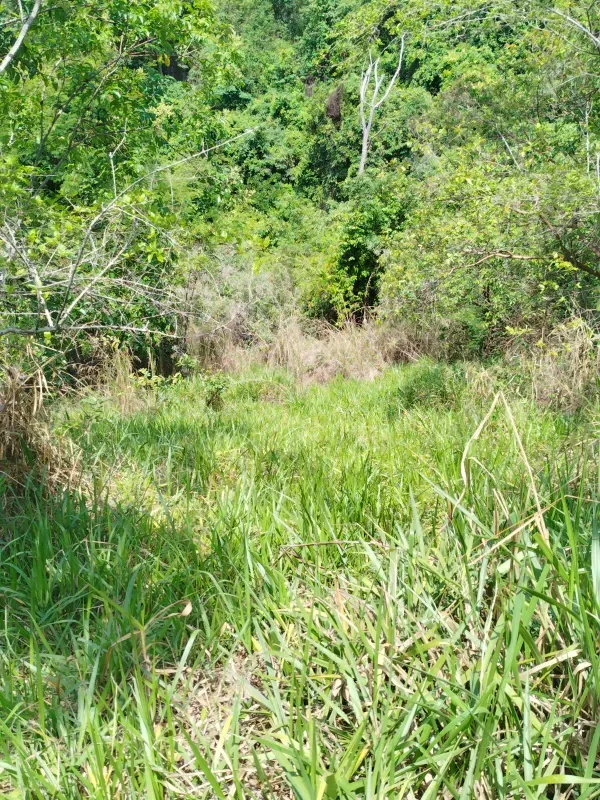 Chácara em Abadiânia/Goiás — Ref II6CM9 — Imagem 9