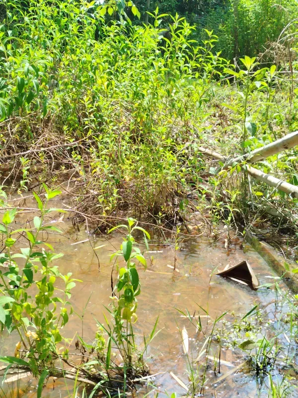 Chácara em Abadiânia/Goiás — Ref II6CM9 — Imagem 11