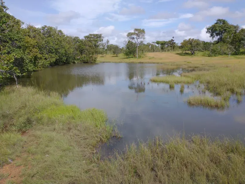Fazenda em Itapecuru Mirim/Maranhão — Ref VQK1GT — Imagem 10