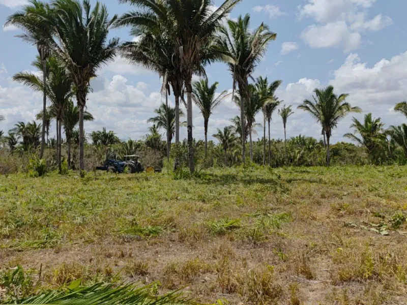 Fazenda em Itapecuru Mirim/Maranhão — Ref VQK1GT — Imagem 11