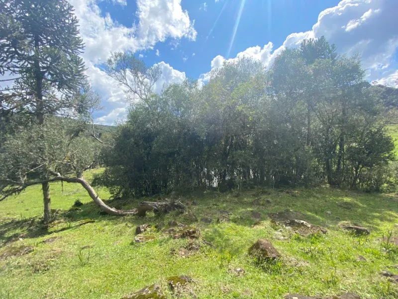Sítio em São José do Cerrito/Santa Catarina — Ref 6FPRUV — Imagem 3