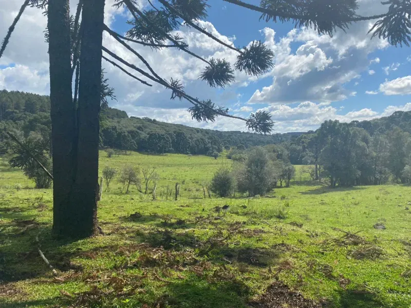 Sítio em São José do Cerrito/Santa Catarina — Ref 6FPRUV — Imagem 5