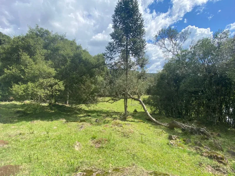 Sítio em São José do Cerrito/Santa Catarina — Ref 6FPRUV — Imagem 6