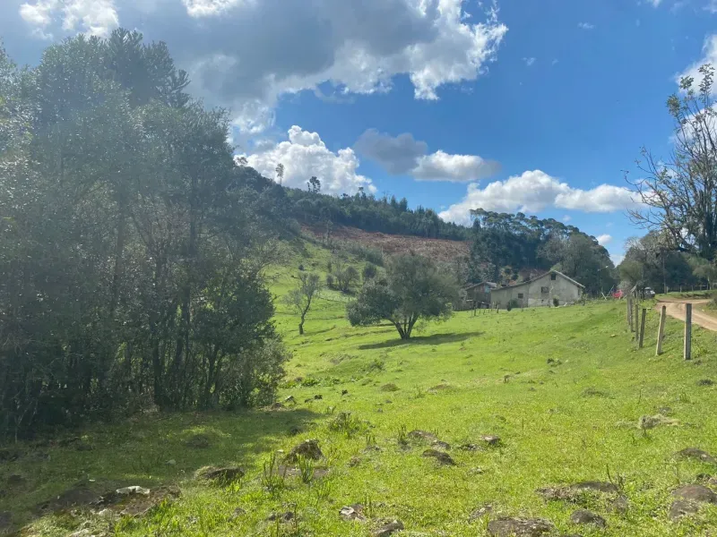 Sítio em São José do Cerrito/Santa Catarina — Ref 6FPRUV — Imagem 7