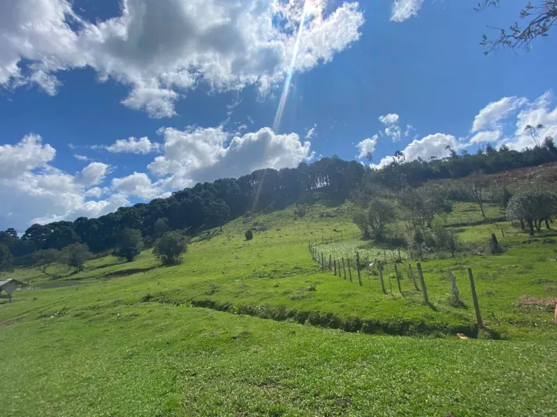 Sítio em São José do Cerrito/Santa Catarina — Ref 6FPRUV — Imagem 8