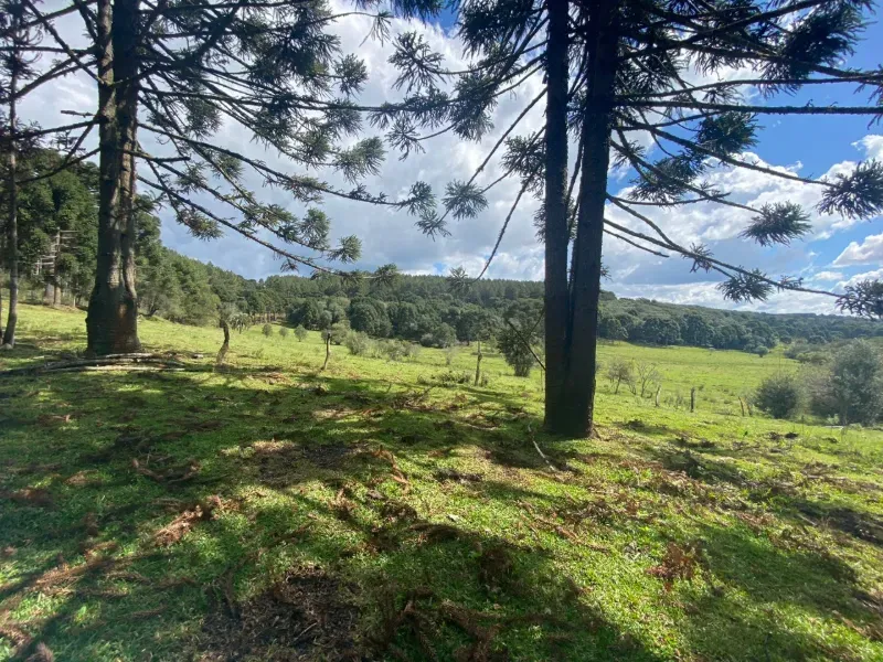 Sítio em São José do Cerrito/Santa Catarina — Ref 6FPRUV — Imagem 9