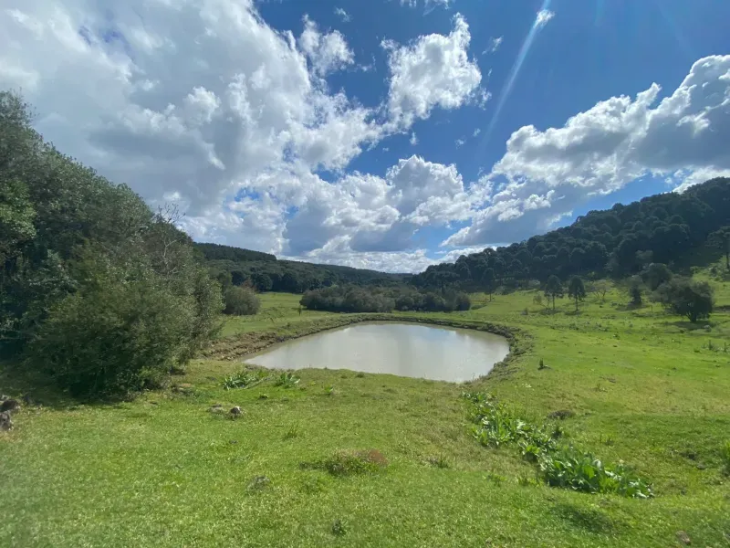 Sítio em São José do Cerrito/Santa Catarina — Ref 6FPRUV — Imagem 2