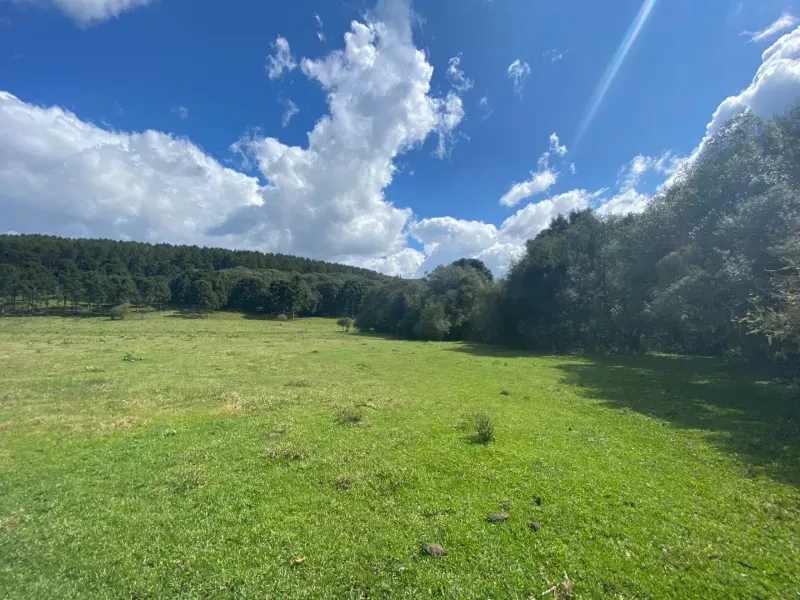 Sítio em São José do Cerrito/Santa Catarina — Ref 6FPRUV — Imagem 10