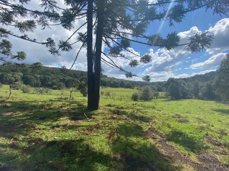 Sítio em São José do Cerrito/Santa Catarina — Ref 6FPRUV — Imagem 12