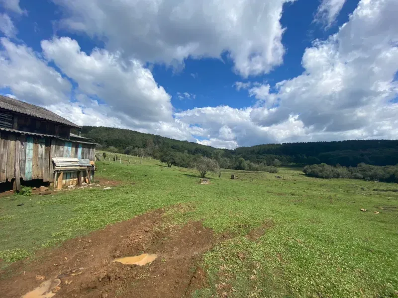 Sítio em São José do Cerrito/Santa Catarina — Ref 6FPRUV — Imagem 13