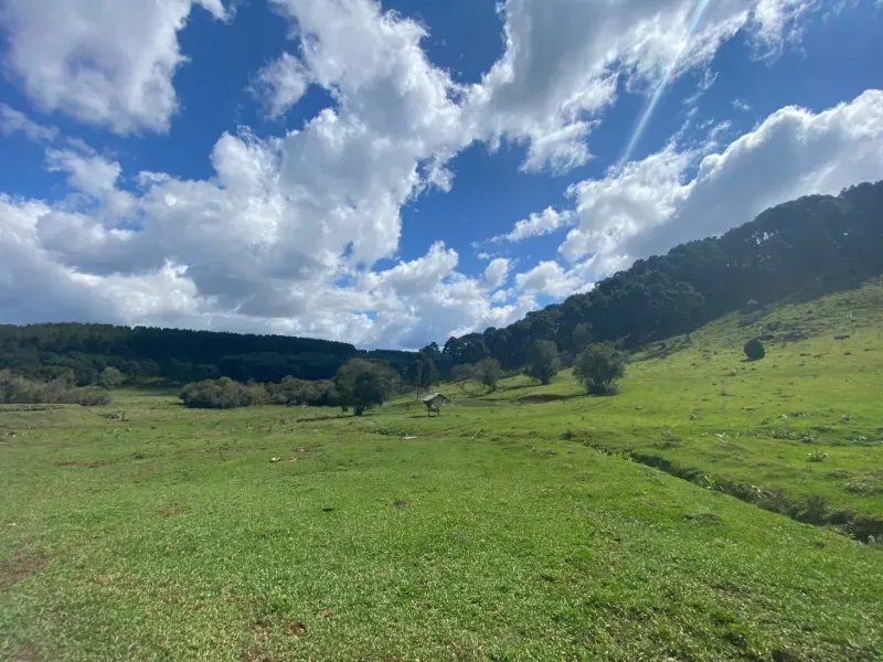 Sítio em São José do Cerrito/Santa Catarina — Ref 6FPRUV — Imagem 14