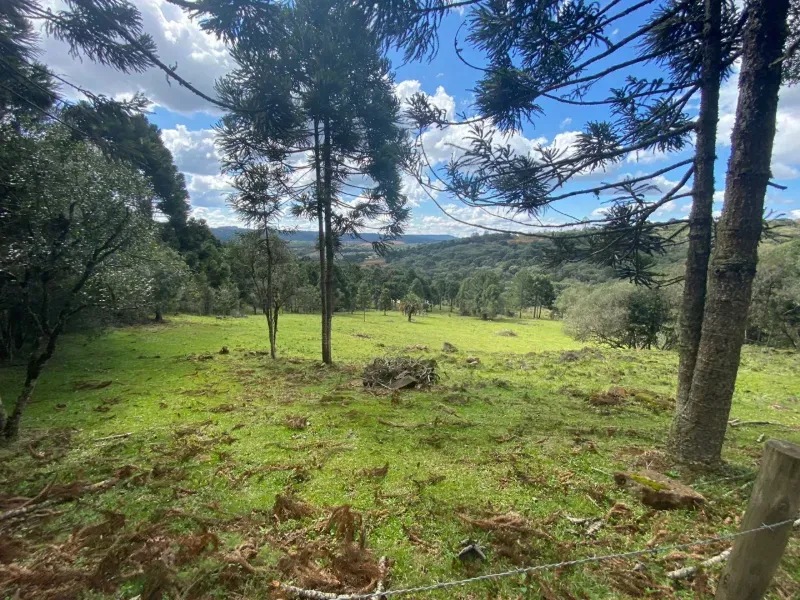 Sítio em São José do Cerrito/Santa Catarina — Ref 6FPRUV — Imagem 15