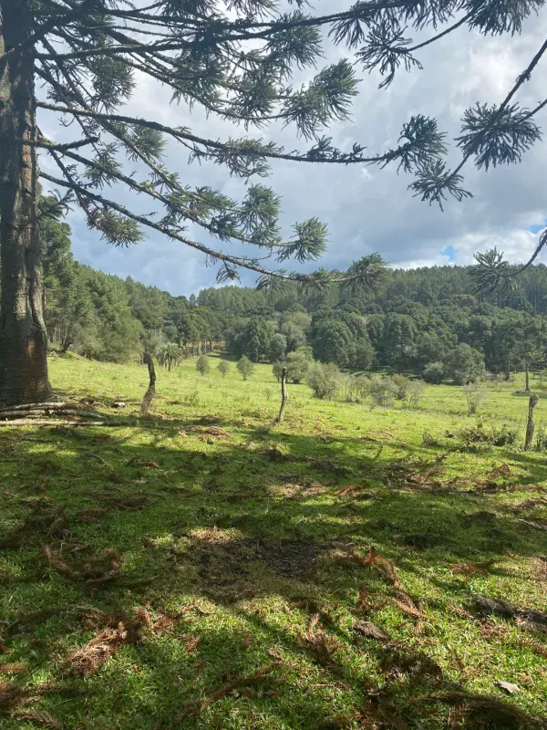 Sítio em São José do Cerrito/Santa Catarina — Ref 6FPRUV — Imagem 17