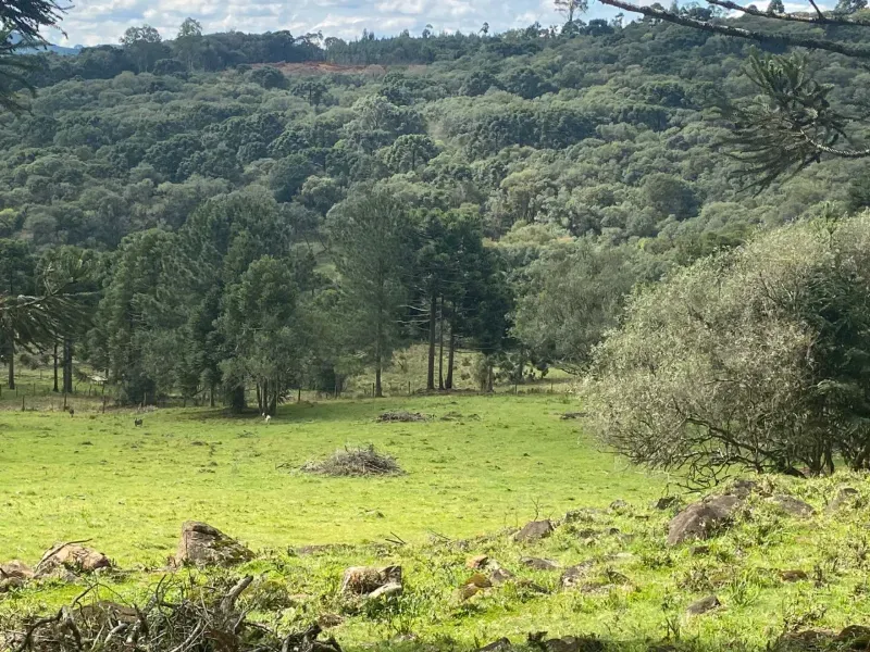 Sítio em São José do Cerrito/Santa Catarina — Ref 6FPRUV — Imagem 18