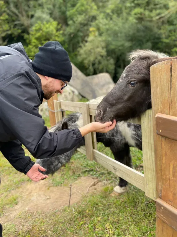 Sítio em Alfredo Wagner/Santa Catarina — Ref YXNINC — Imagem 20
