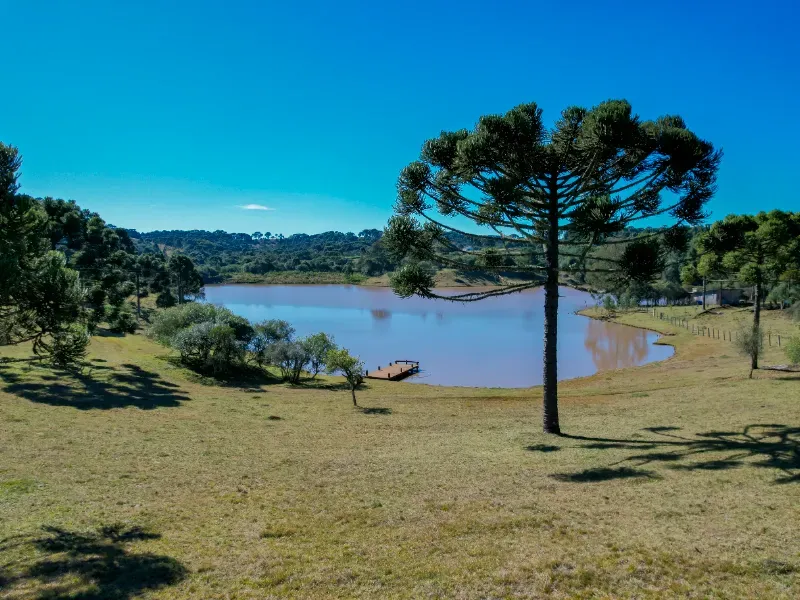 Sítio em Capão Alto/Santa Catarina — Ref YO0VUS — Imagem 4