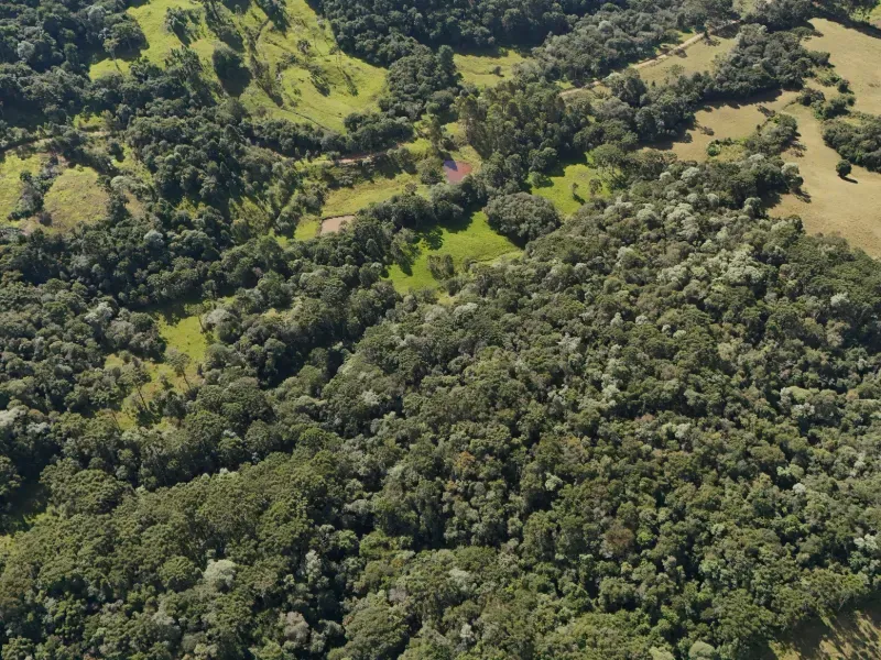 Sítio em Bocaina do Sul/Santa Catarina — Ref F5OTBF — Imagem 4
