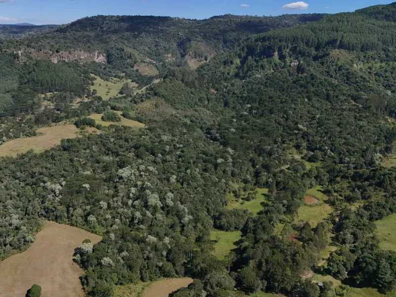 Sítio em Bocaina do Sul/Santa Catarina — Ref F5OTBF — Imagem 5