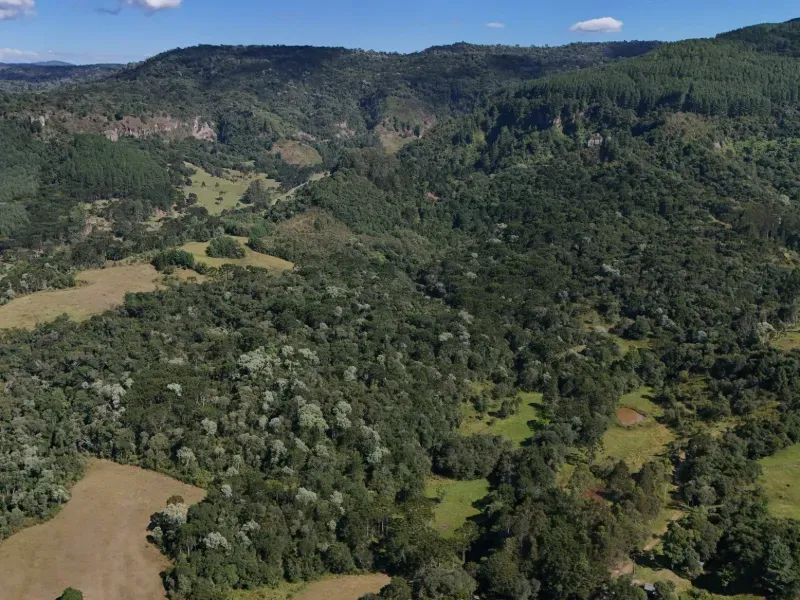 Sítio em Bocaina do Sul/Santa Catarina — Ref F5OTBF — Imagem 2