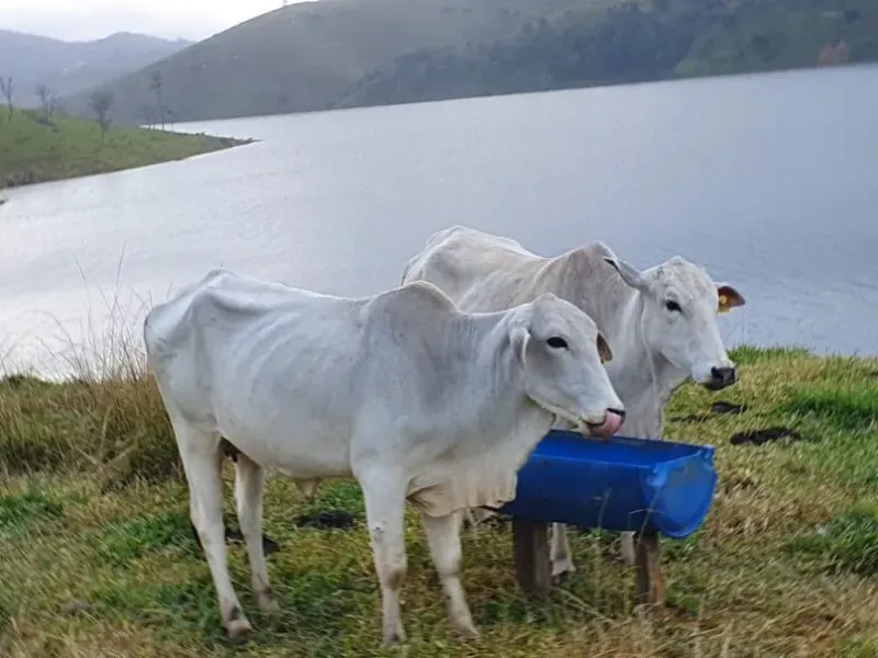 Fazenda em Natividade da Serra/São Paulo — Ref UB3I1H — Imagem 3