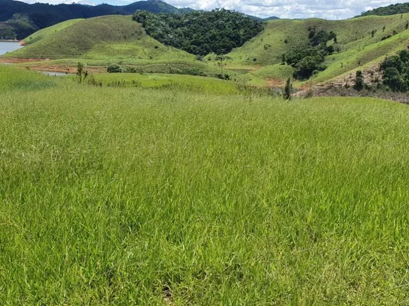 Fazenda em Natividade da Serra/São Paulo — Ref UB3I1H — Imagem 6