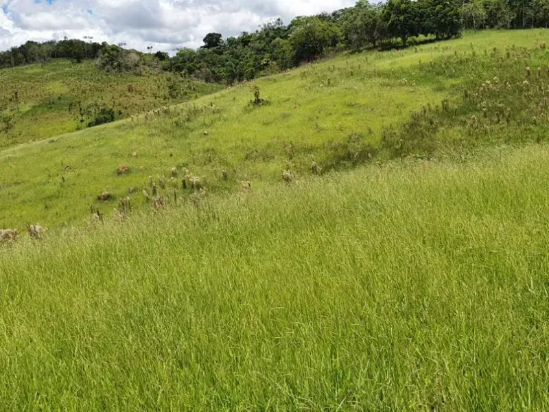 Fazenda em Natividade da Serra/São Paulo — Ref UB3I1H — Imagem 8