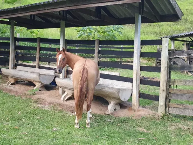 Fazenda em Natividade da Serra/São Paulo — Ref UB3I1H — Imagem 12