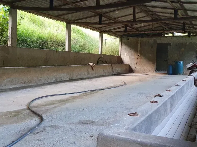 Fazenda em Natividade da Serra/São Paulo — Ref UB3I1H — Imagem 17