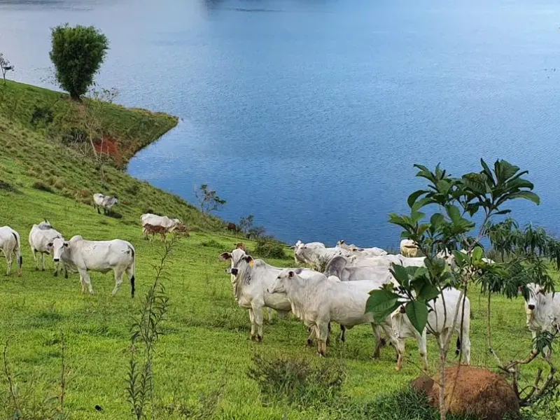 Fazenda em Natividade da Serra/São Paulo — Ref UB3I1H — Imagem 2