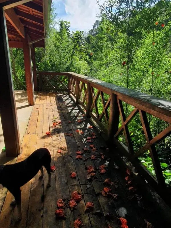 Fazenda em Natividade da Serra/São Paulo — Ref UB3I1H — Imagem 31