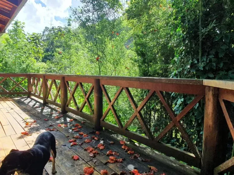 Fazenda em Natividade da Serra/São Paulo — Ref UB3I1H — Imagem 32