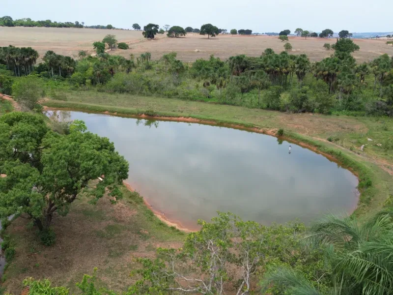 Sítio em Piracanjuba/Goiás — Ref J0GJ5Y — Imagem 9