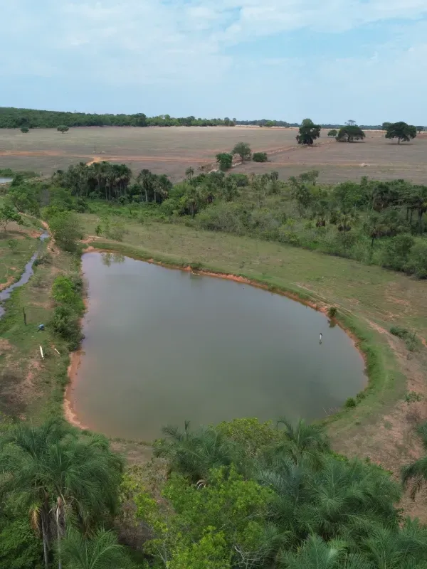 Sítio em Piracanjuba/Goiás — Ref J0GJ5Y — Imagem 10